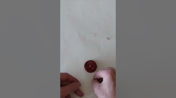 Button Yo-Yo - Luke Renner