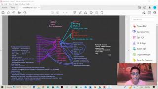 PIDP 3351 Feedforward