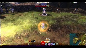Guild Wars 2 Elementalist - Heavy target HotM