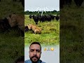 كانت النهاية حتمية لكن بفضل الله أرسل لها من ينقذها وكتب لها عمر ا جديد ا 