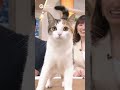 放送事故！突然の乱入猫に視線釘付け