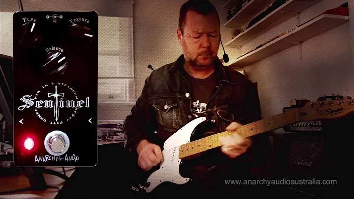 Anarchy Audio : SENTINEL