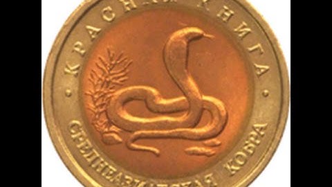 steam id антибан для кс 16