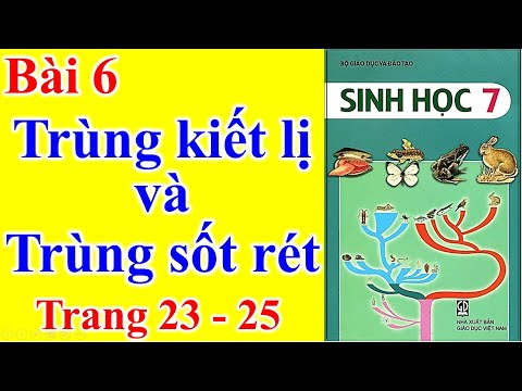 Video Sinh Học Lớp 7 Bài 6 - Trùng kiết lị và trùng sốt rét... - YouTube