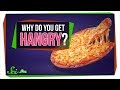 Why do you get hangry