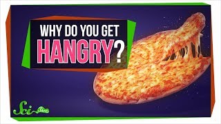 Why Do You Get Hangry?