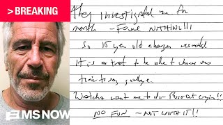 BREAKING: Epstein’s purported suicide note RELEASED