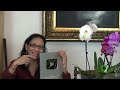 Thank You...Terima Kaseh...For my YouTube Silver Creator Award for 100,000 Subscribers