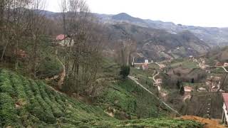 GUGUDA #Guguda #Türkeli #Halilli #Gugudalılar #Araklı #Trabzon 