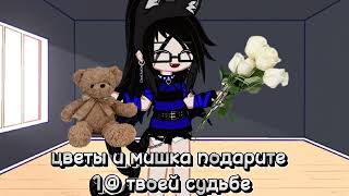 Цветы и мишку подарите 1@ твоей судьбе 🦭❤️