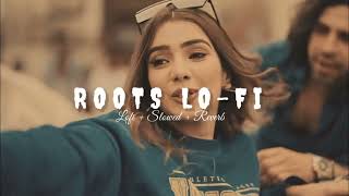 Roots (Official Lofi Song ) | Bintu Pabra | Kp Kundu | Haryanvi Song | Latest Haryanvi Song 2024