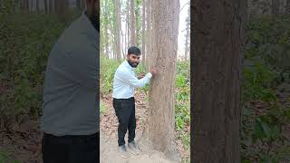 |Discovery of Cell||#video #viralvideo #viralshort #facts #viralvideos #biology #botony #science