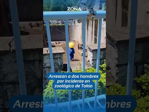📱🌏 Detienen a dos estadounidenses tras ingresar a zoológico en Japón