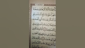 ووصينا الإنسان بوالديه إحسانا. سورة الأحقاف قراءة جميلة مميزة خاشعة الشيخ بيشة الكردي