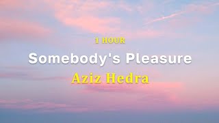 [1 Hour] Somebody's Pleasure - Aziz Hedra