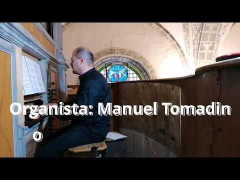 Organ Concert -