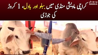 Karachi maweshi mandi mein Bablu or Badal, 1 crore ki jorhi - SAMAA TV - 19 June 2022