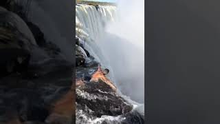 You can engage in the Devil's Pool activity in Victoria Falls, Zambia - Travel #Shorts