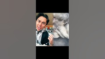 Part 47  Like, comment, subscribe! Let