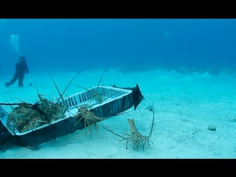 "Sustainable Lobsters ? : MesoAmerican Reef Leadership Program - Part Four"