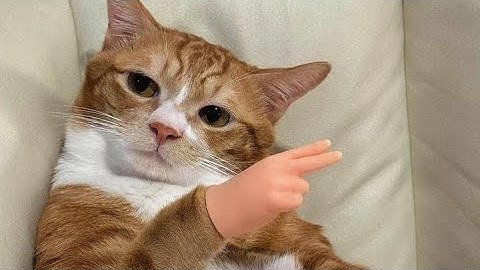 MDC4 Final Exam Review Rasmussen University ADN/BSN Nursing Program