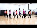 Danger twins  line dance dance  teach in english  