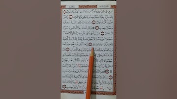 سورة ص من آية (١٧) إلى آية (٢٦)