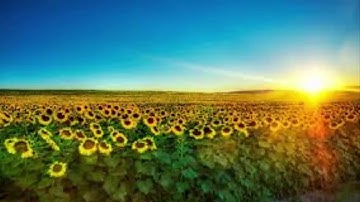 من اجمل ما سمعت الشيخ نايف الفيصل ما تيسر من سورة ابراهيم