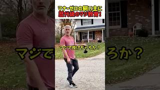 【神成敗】他人のゴミ箱にフンを捨てて逆ギレ!?非常識すぎる飼い主を追い詰めた歴代級の教育的指導ｗ　#犬#いぬ #犬 #犬動画 #犬のいる暮らし #マナー #迷惑行為 #トラブル #shorts