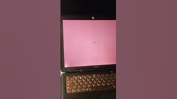 PowerBook G3 Pismo Backlight Failure (pink hue)
