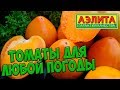 Семена томатов 🍅 Томаты которые вырастут в любую погоду 🍅 Агрофирма АЭЛИТА  обзор