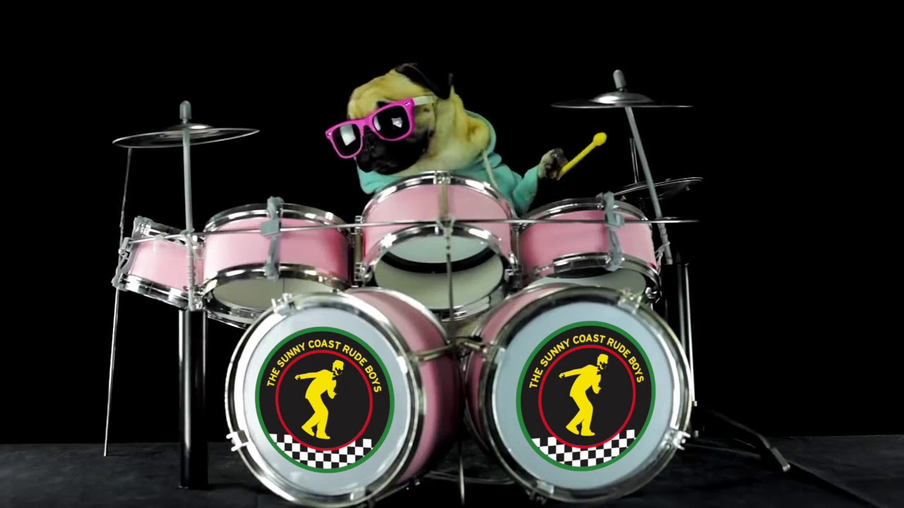 12th Jan 2019 - The Triffid, Brisbane 