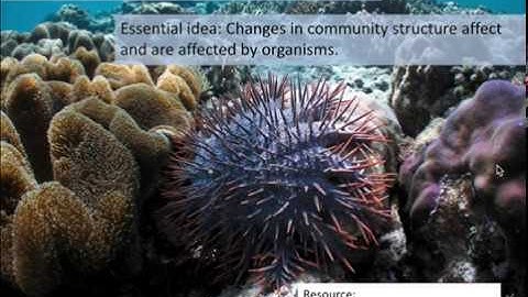 C2 Lecture - Communities and Ecosystems