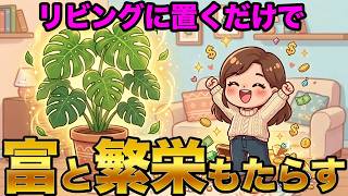 【開運植物】自宅のリビングに置くだけで富と繁栄をもたらす観葉植物３選。