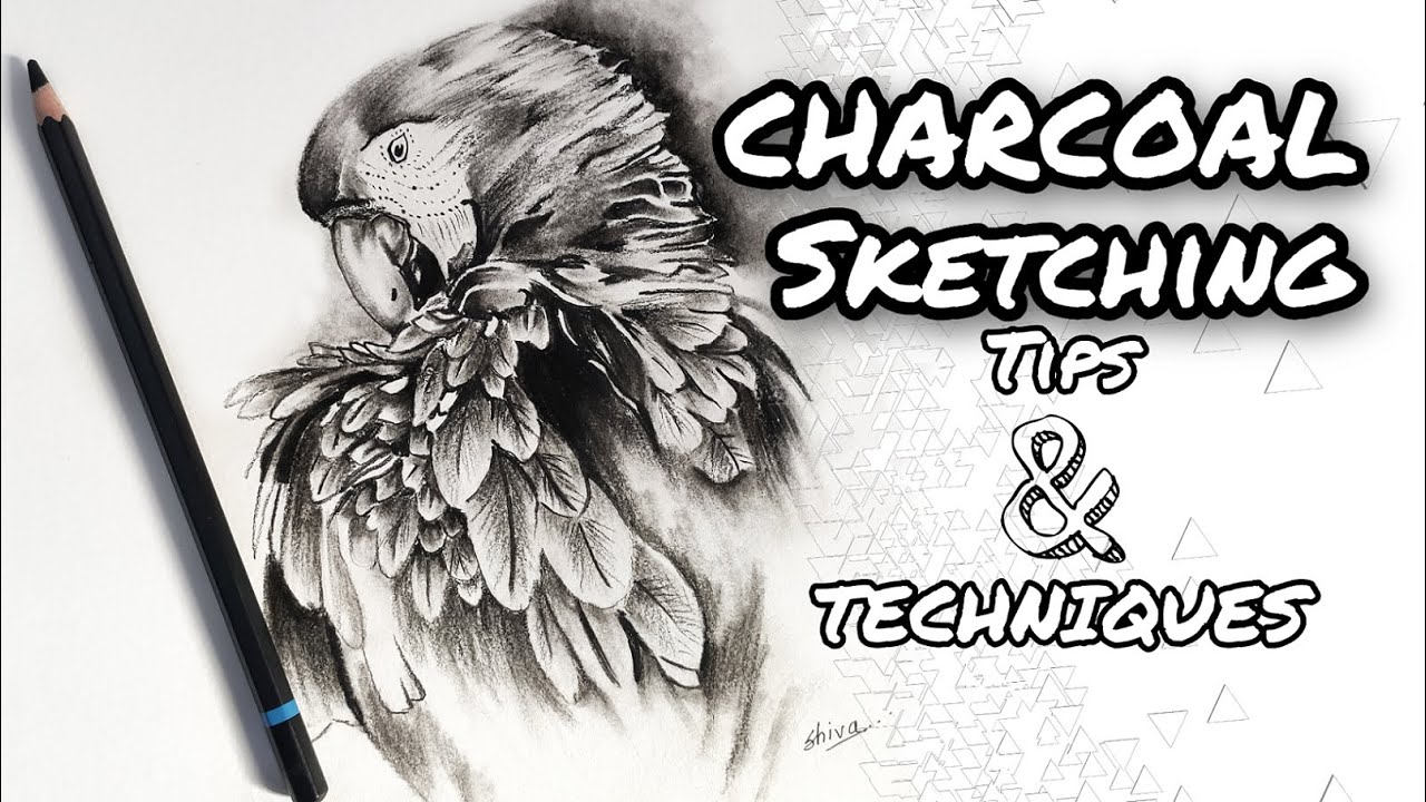 CHARCOAL DRAWING TUTORIAL | How to shade with charcoal for beginners ...