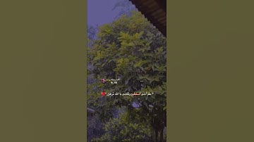 قرآن كريم بصوت الشيخ هزاع البلوشي حالات واتس اب راحه وهدوء وانستقرام