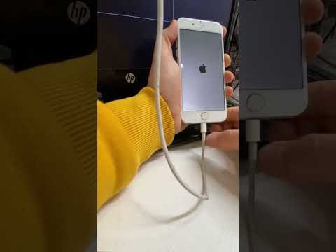 iPhone 6 -