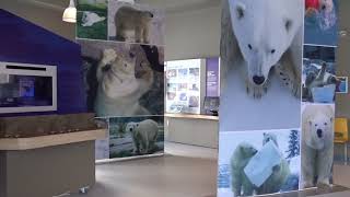 Polar Bear Habitat Cochrane Ontario