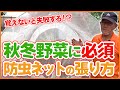 家庭菜園や農園の秋冬野菜栽培で防虫ネットは必須！正しくネットを張る事で害虫対策をして秋冬野菜を成功させよう！【農園ライフ】/Tips for installing insect nets.