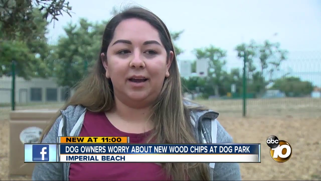 Imperial Beach Dog Owners Upset About Wood Chips At Dog Park