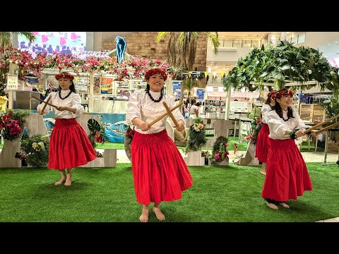 ウリウリ 楽器 タヒチアンダンス　フラダンス Yahoo!オークション -「フラダンスウリウリ」の落札相場・落札価格