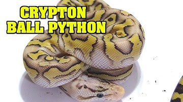 KRYPTON, CRYPTIC, CLOWN??? How it all works, made clear.....kind of.