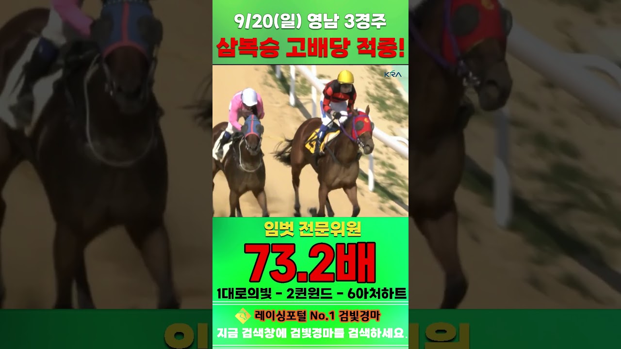 [영남 경마] 9월 20일 일요 3경주 임벗 전문위원 삼복승 고배당 적중 #한국마사회 #automobile #경마 #horse #하이라이트 #korean #비트코인 #뉴스 #주식