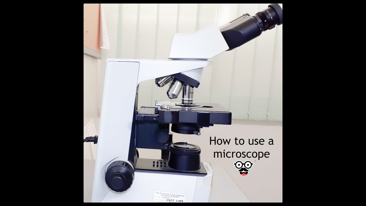 Basic: How to use a microscope - YouTube
