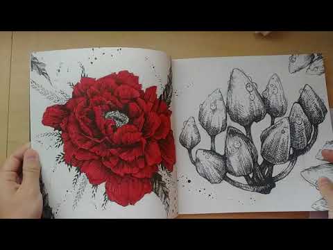 completed-coloring-pages-for-july-2018,-small-coloring-book-haul,-new-coloring-pages