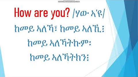 ዝርርብ 6 ሰላምታ 2ይ ክፋል: Basic English Greetings (ንጀመርቲ)
