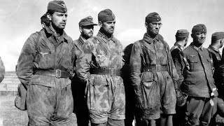 “The Shocking Moments That Left German POWs Speechless During WW2”
