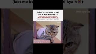 hey siri #memes #shorts #funny #cat #tweetreels #girl #relatable #trending #song #talviinder