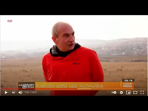 ინტერვიუ გიორგი გოცაძესთან, საქმიანი დილა