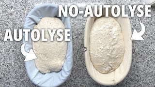 To autolyse, or not to autolyse, that is the question